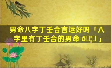男命八字丁壬合官运好吗「八字里有丁壬合的男命 🦅 」
